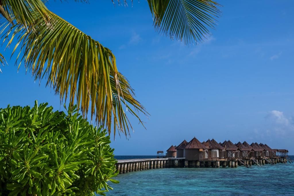 Nika Island Resort & Spa фото 33