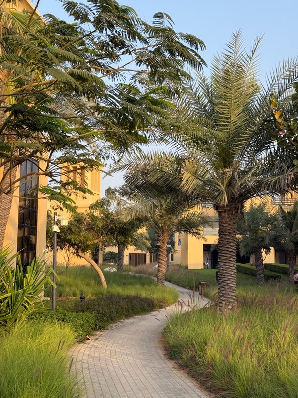 Sofitel Al Hamra Beach Resort фото 49