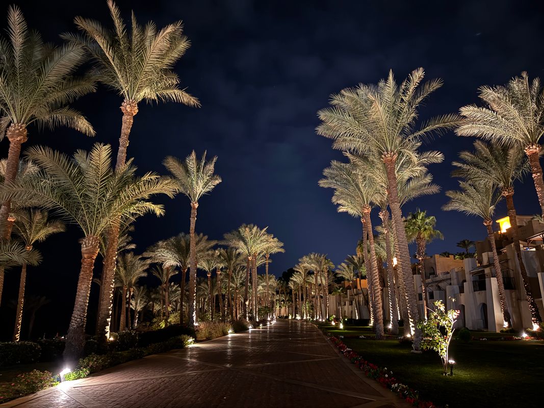 Grand Rotana Resort & Spa фото 102