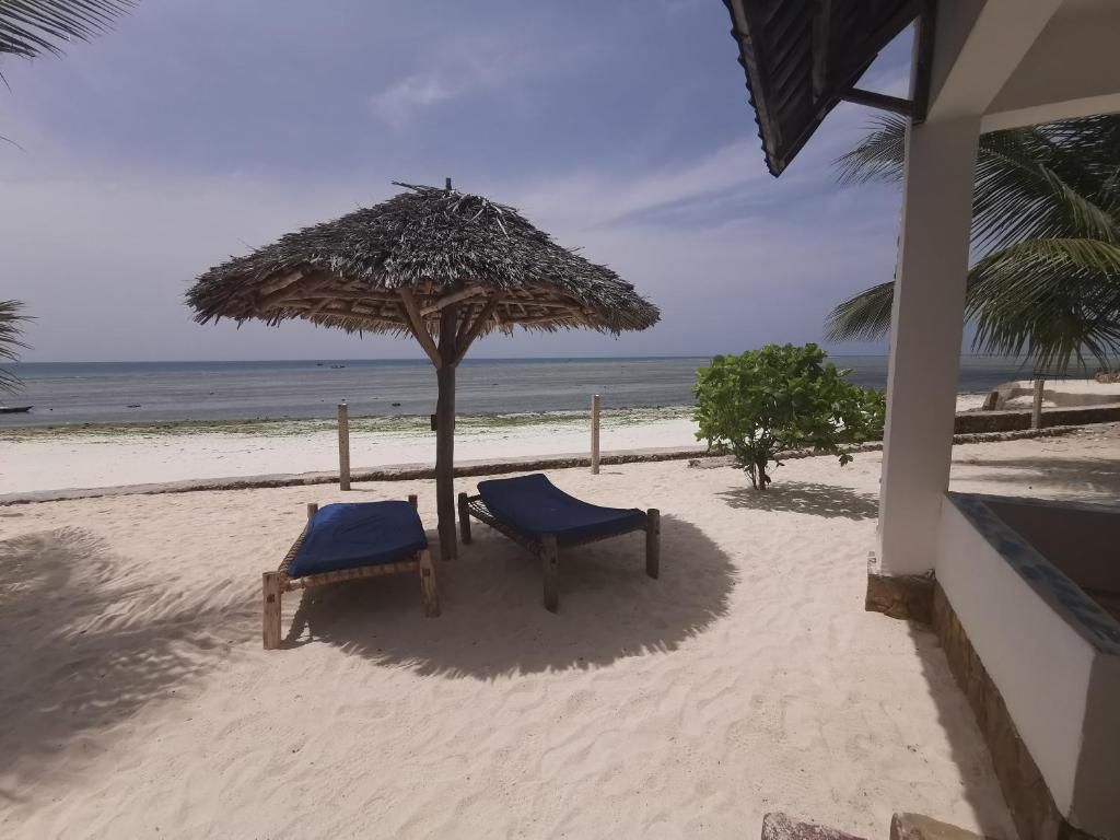 Beach Baby Lodge фото 21