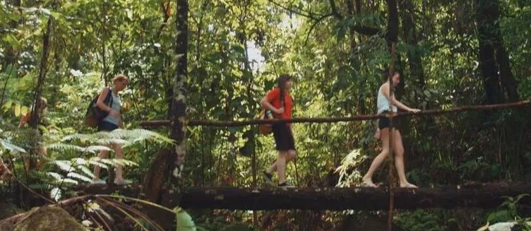 Фото отеля Khaolak Laguna Resort - SHA Extra Plus