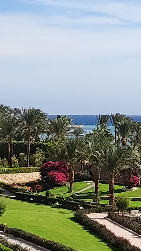 Fort Arabesque Resort, Spa & Villas фото 32