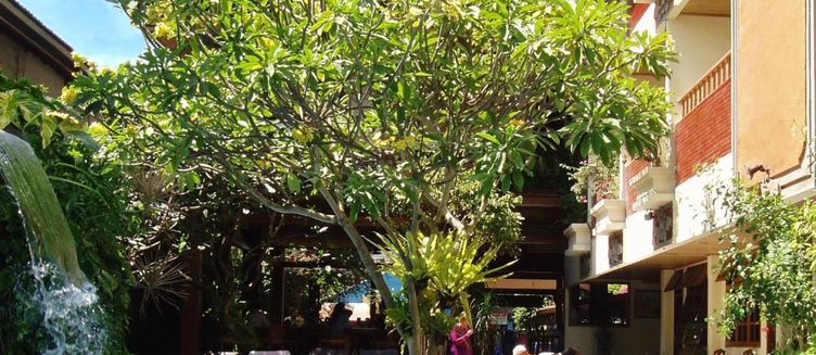 Фото отеля Green Garden