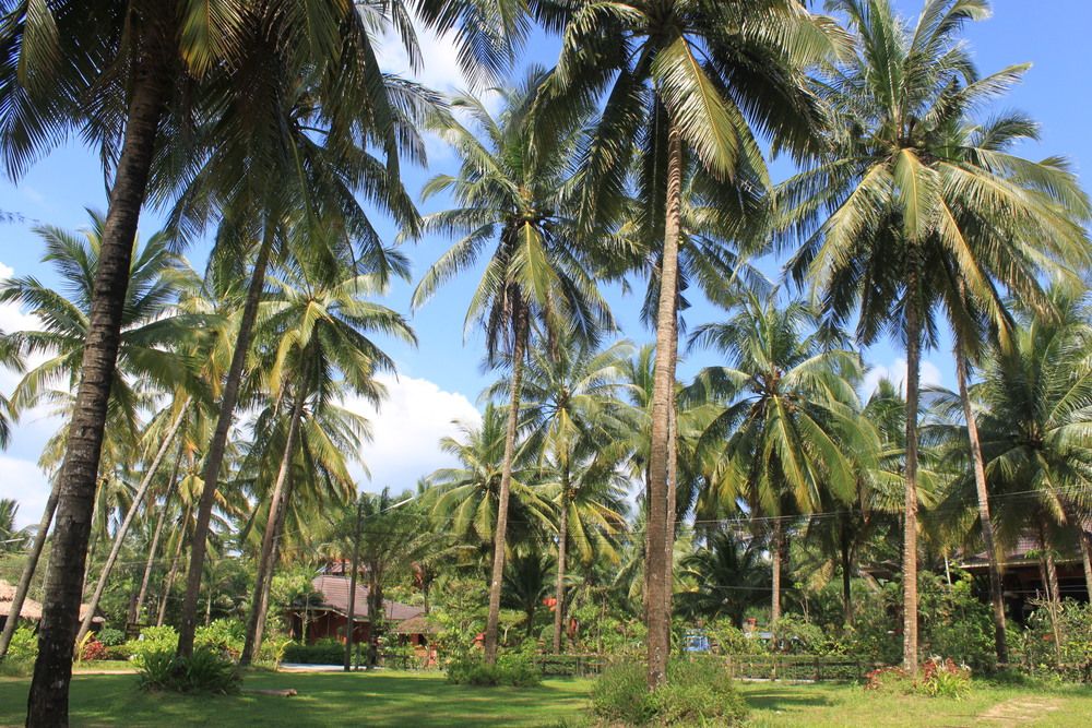 Sudala Beach Resort фото 53
