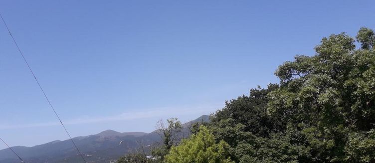 Фото отеля Альтаир