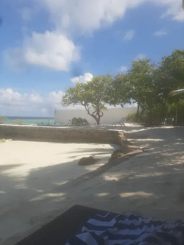 Lagoon View Maldives фото 46
