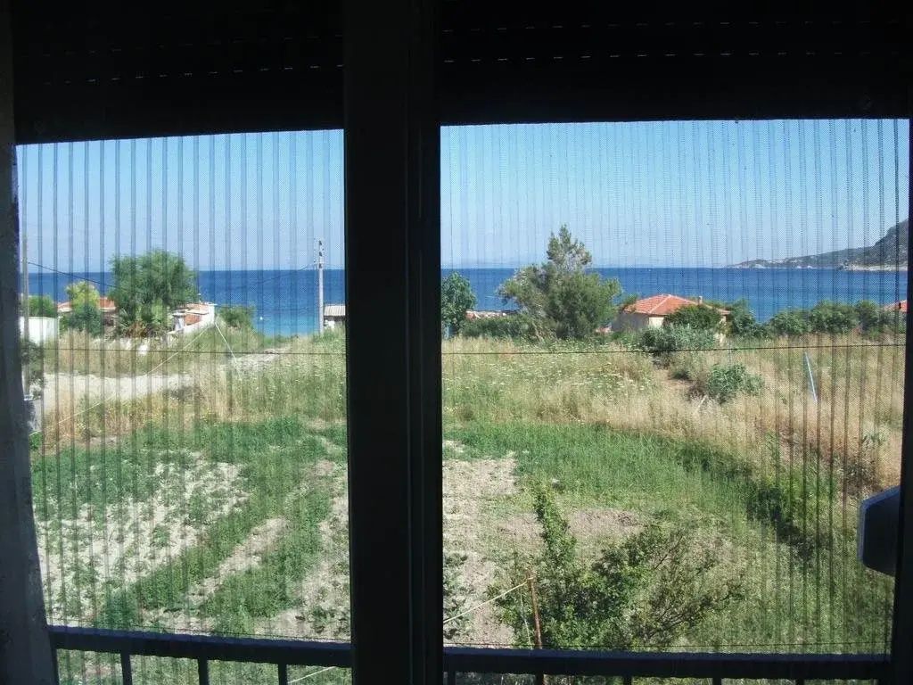 Palmi̇ye Pansi̇yon фото 5