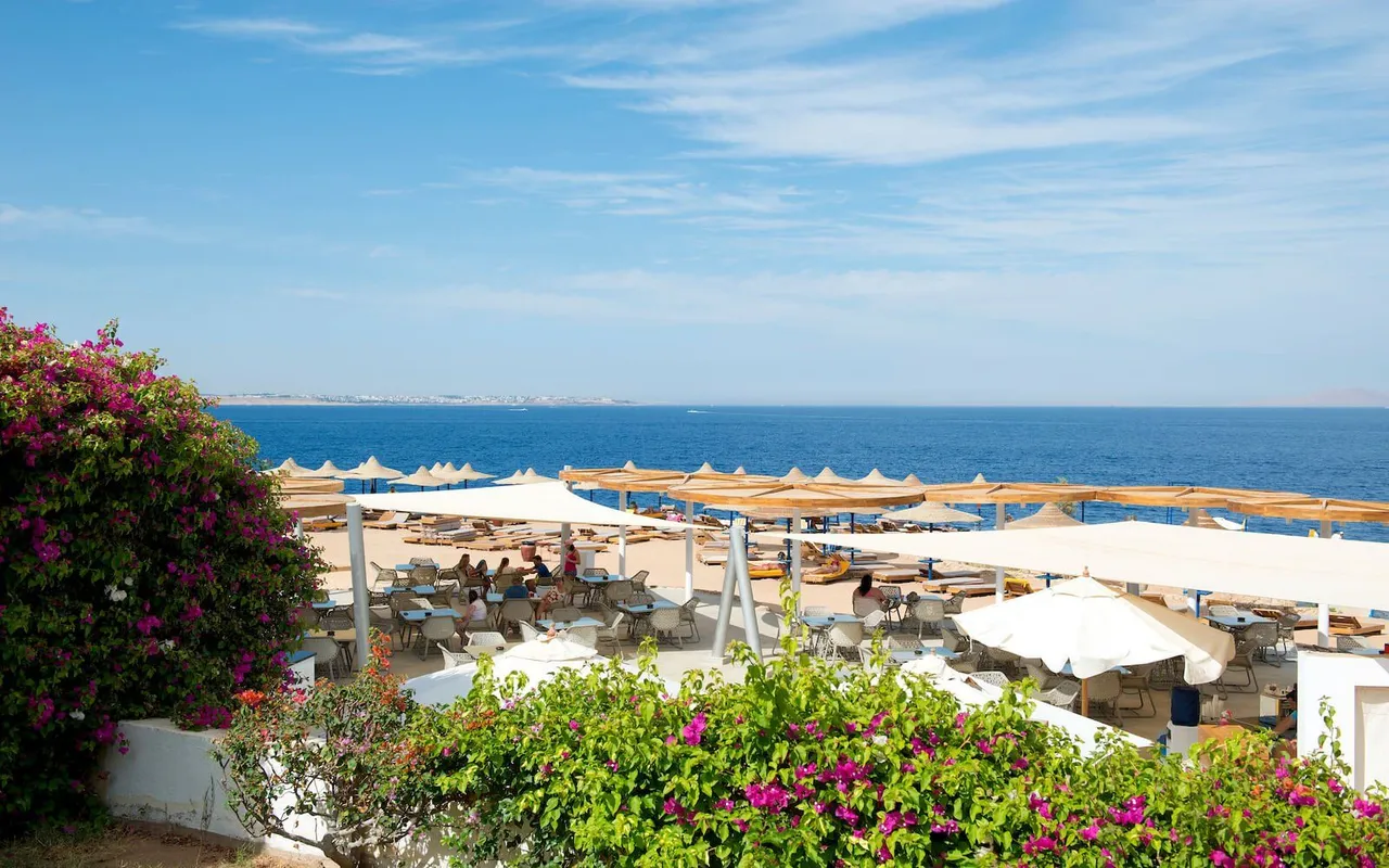 Amphoras Blu Hotel (Adults Only) фото 9