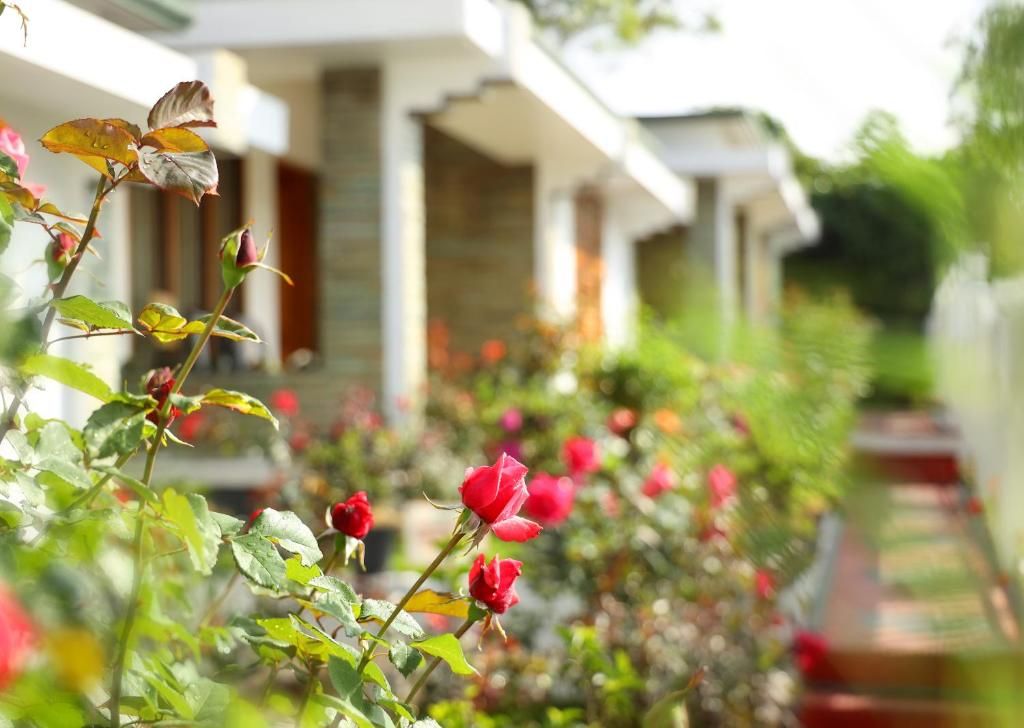 Elysium Garden Hill Resort фото 25