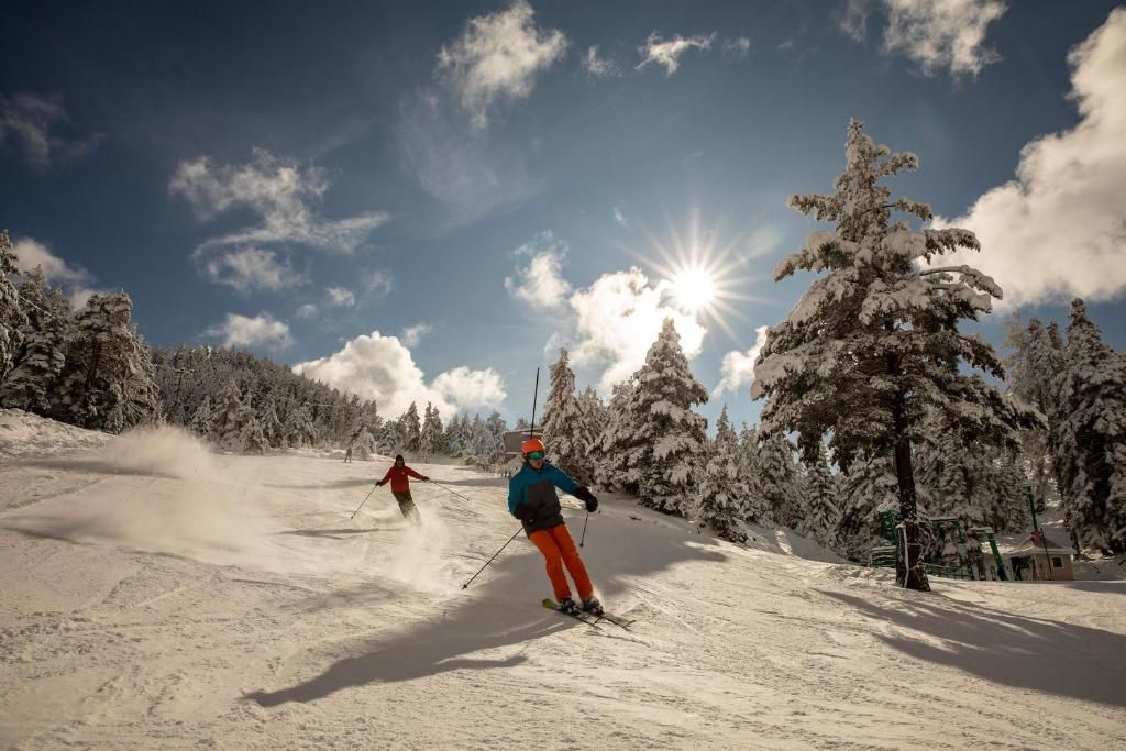 Dorukkaya Ski & Mountain Resort фото 22