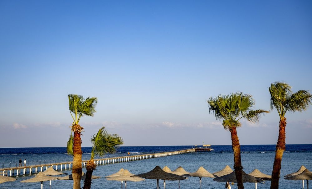 Blue Reef Red Sea Resort фото 44