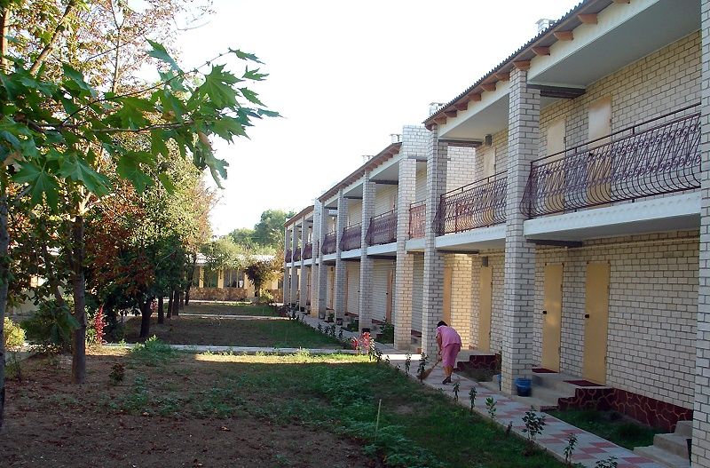 Коралл фото 5