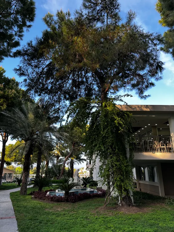 Club Hotel Sidelya фото 31
