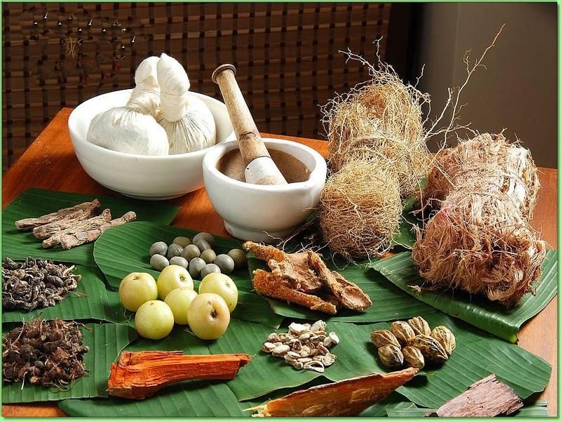 Chakra Ayurvedic Resort фото 7