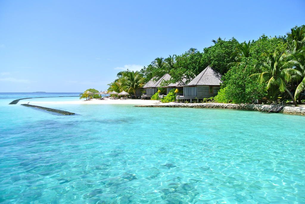 Gangehi Island Resort & Spa фото 33