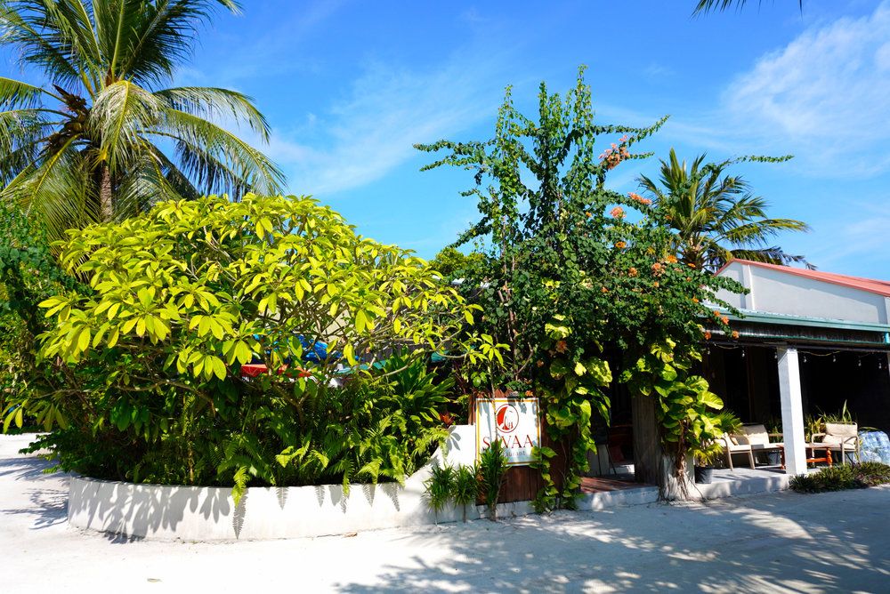 Guest House «TME Retreats Dhigurah Guest House» фото 60
