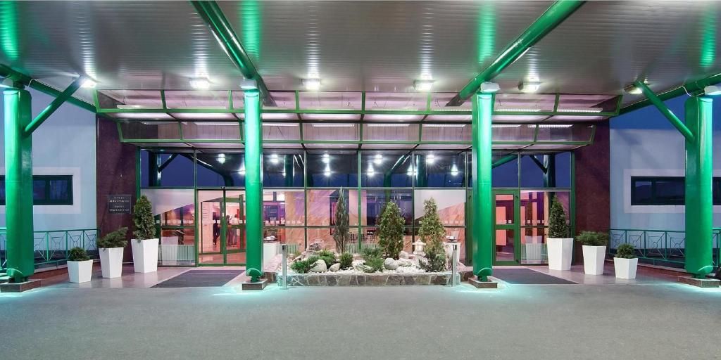 Отель Holiday Inn Москва Виноградово фото 56