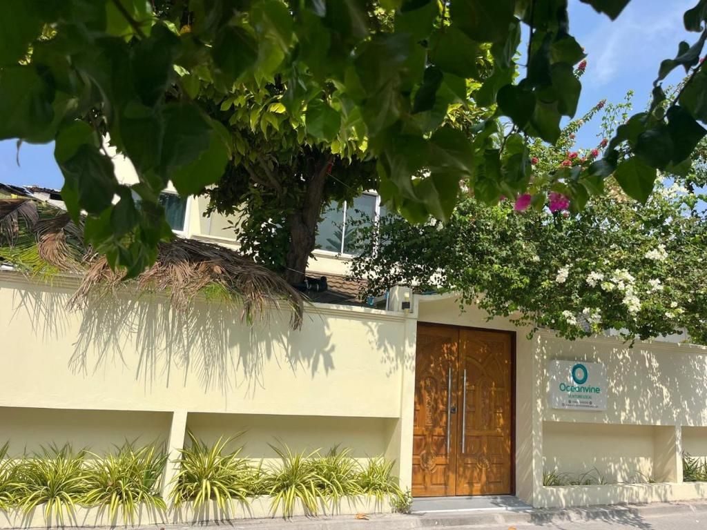 Oceanvine, ADH, Mahibadhoo фото 20
