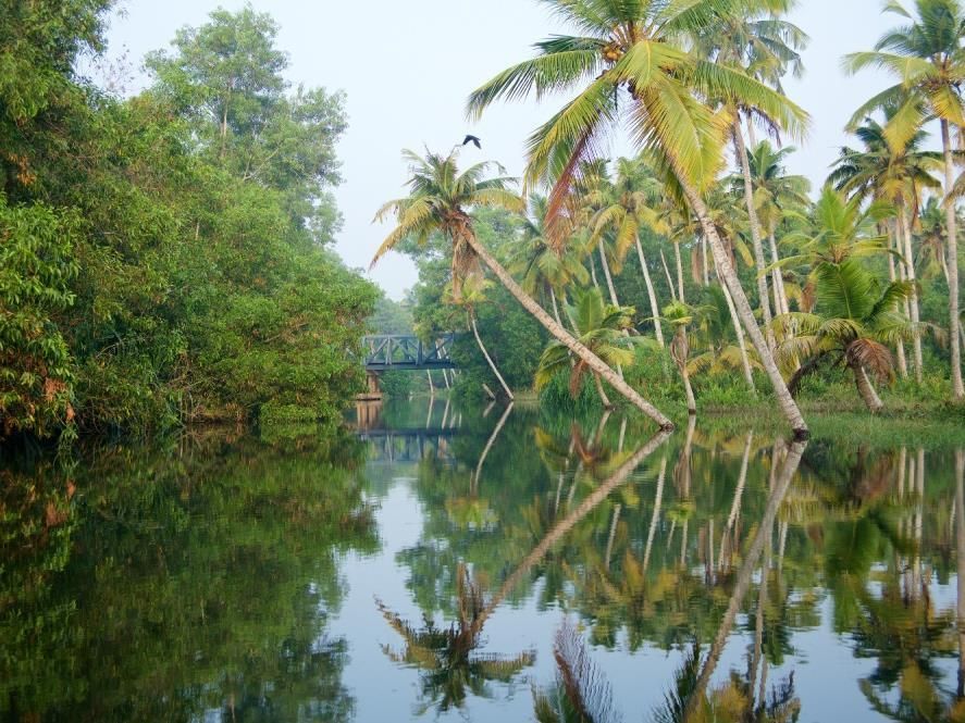Poovar Island Resort фото 3