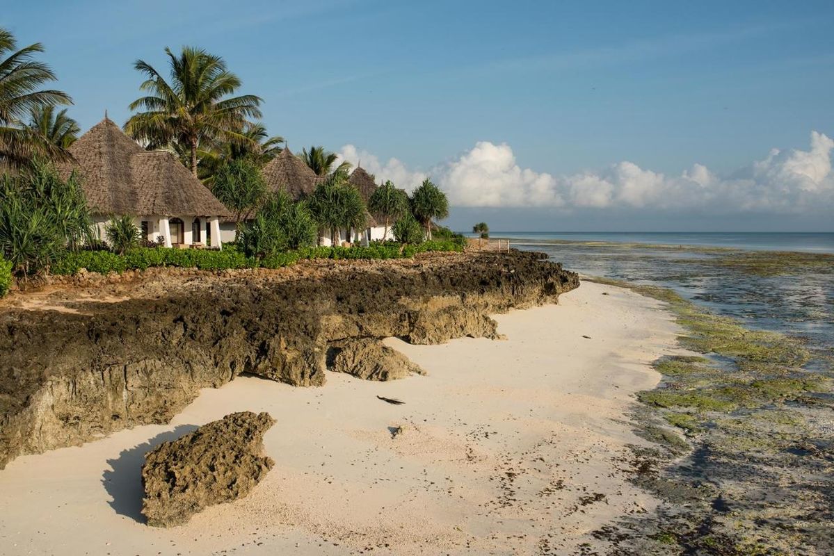 Essque Zalu Zanzibar фото 7