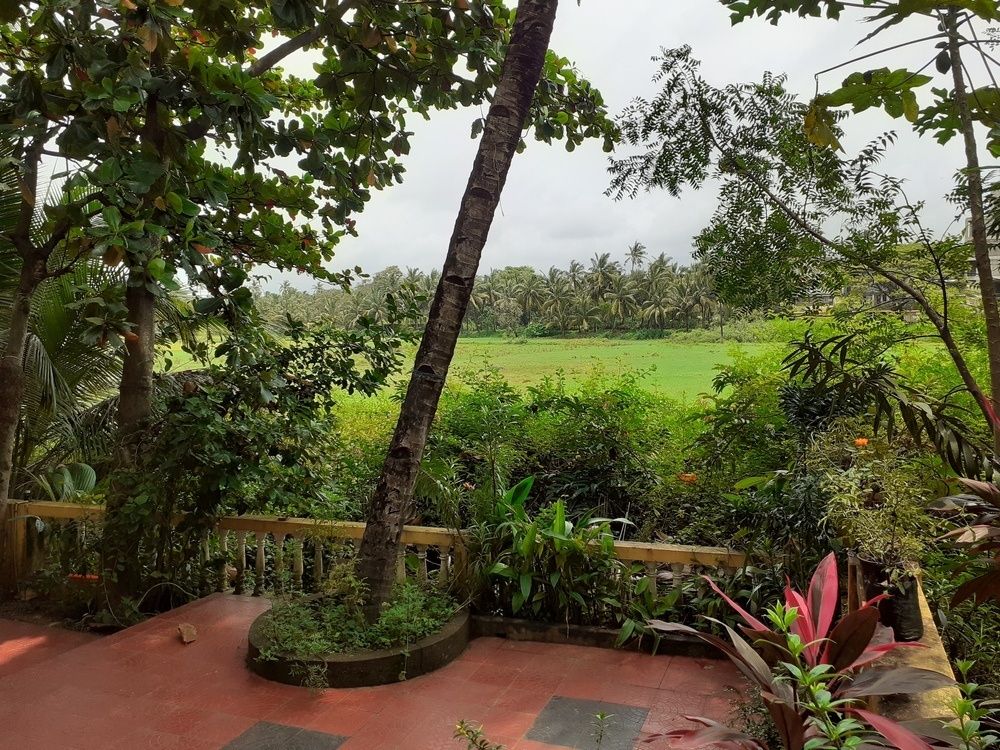 Guest House «Country View Cottage Guest House» фото 5