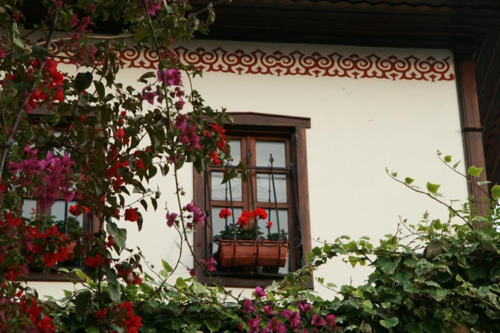 Dogan фото 71