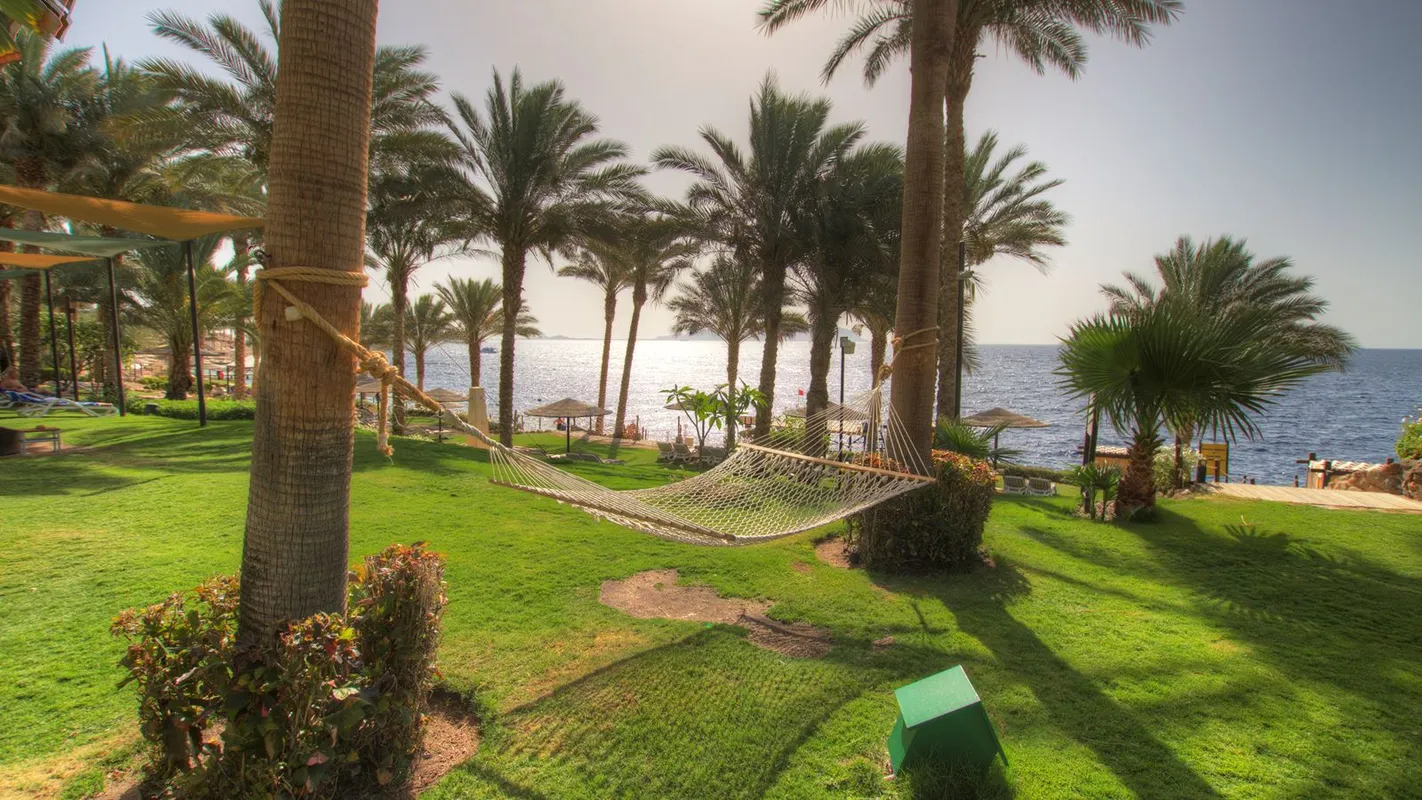 Grand Rotana Resort & Spa фото 118