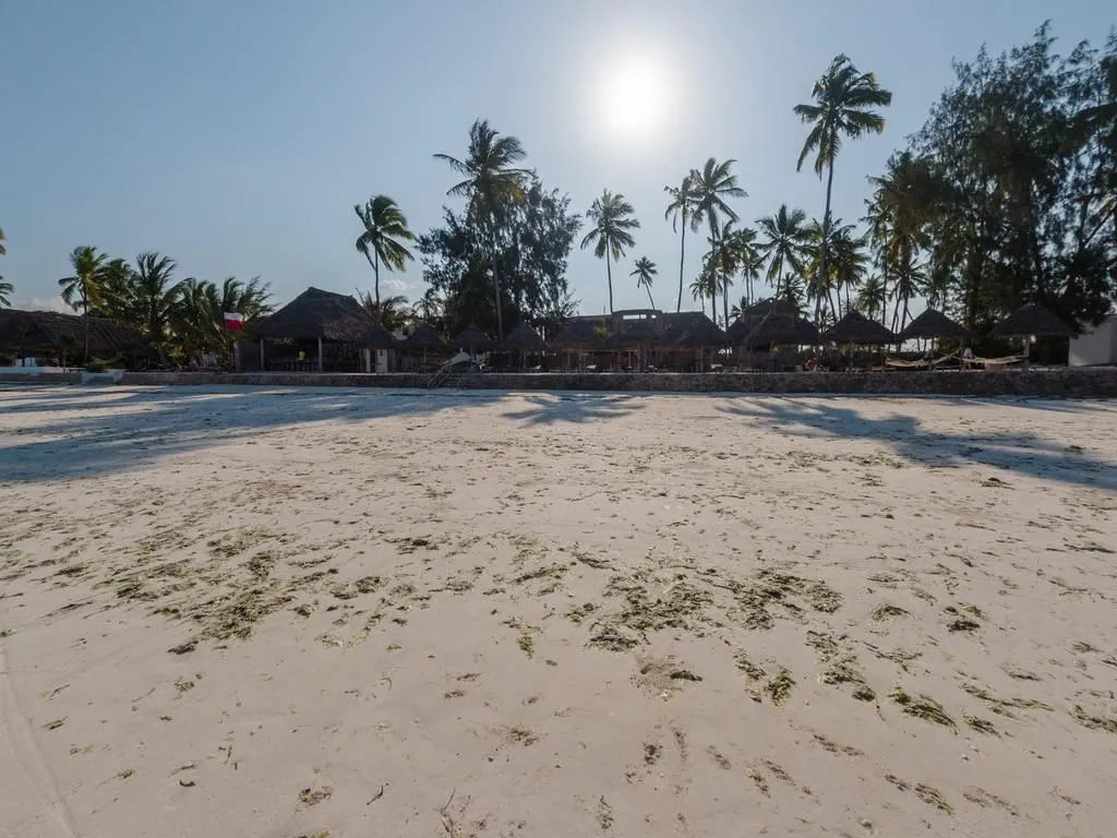 Paradise Beach Resort фото 6