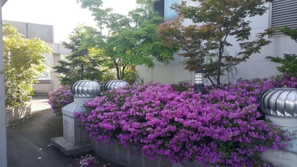 Апарт-отель «Hyundai Residence» фото 4