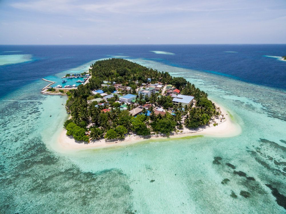 Guest House ««Plumeria Maldives» Guest House» фото 78