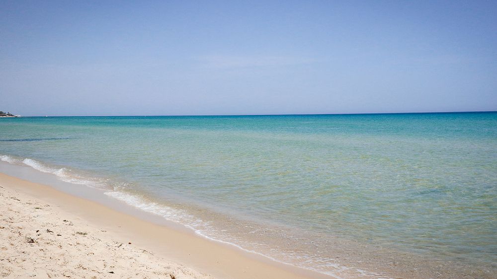 Novostar Royal Beach Sousse фото 57