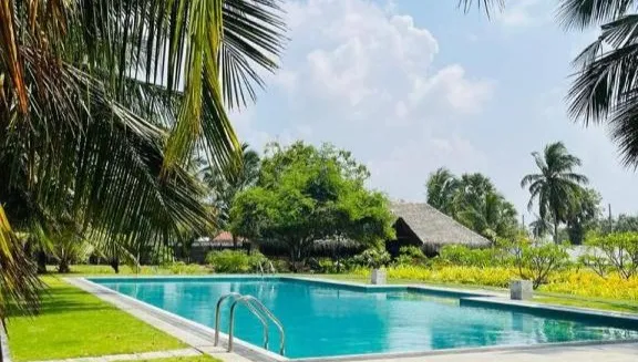 Фото отеля N and N Beach Resort & SPA