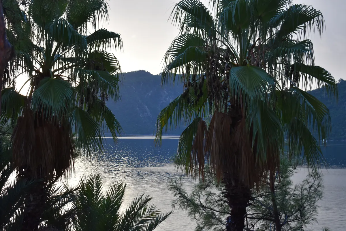 Marmaris Park фото 47