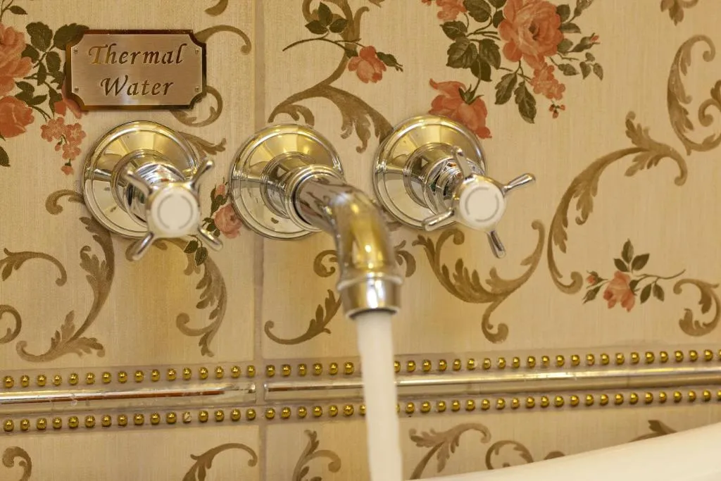 Limak Thermal Boutique Hotel фото 11
