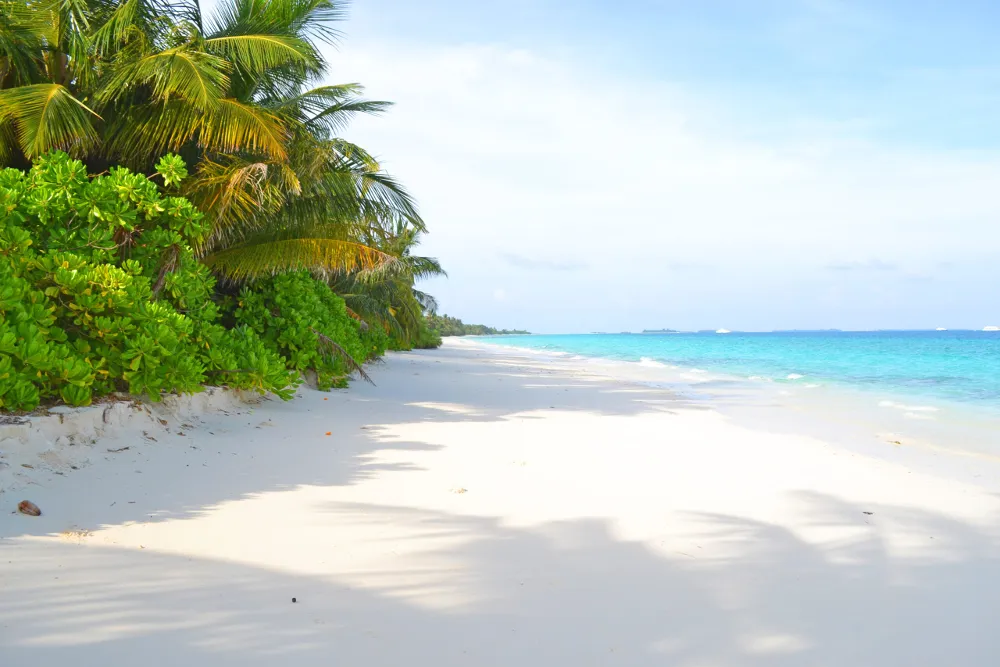 Guest House «TME Retreats Dhigurah Guest House» фото 13