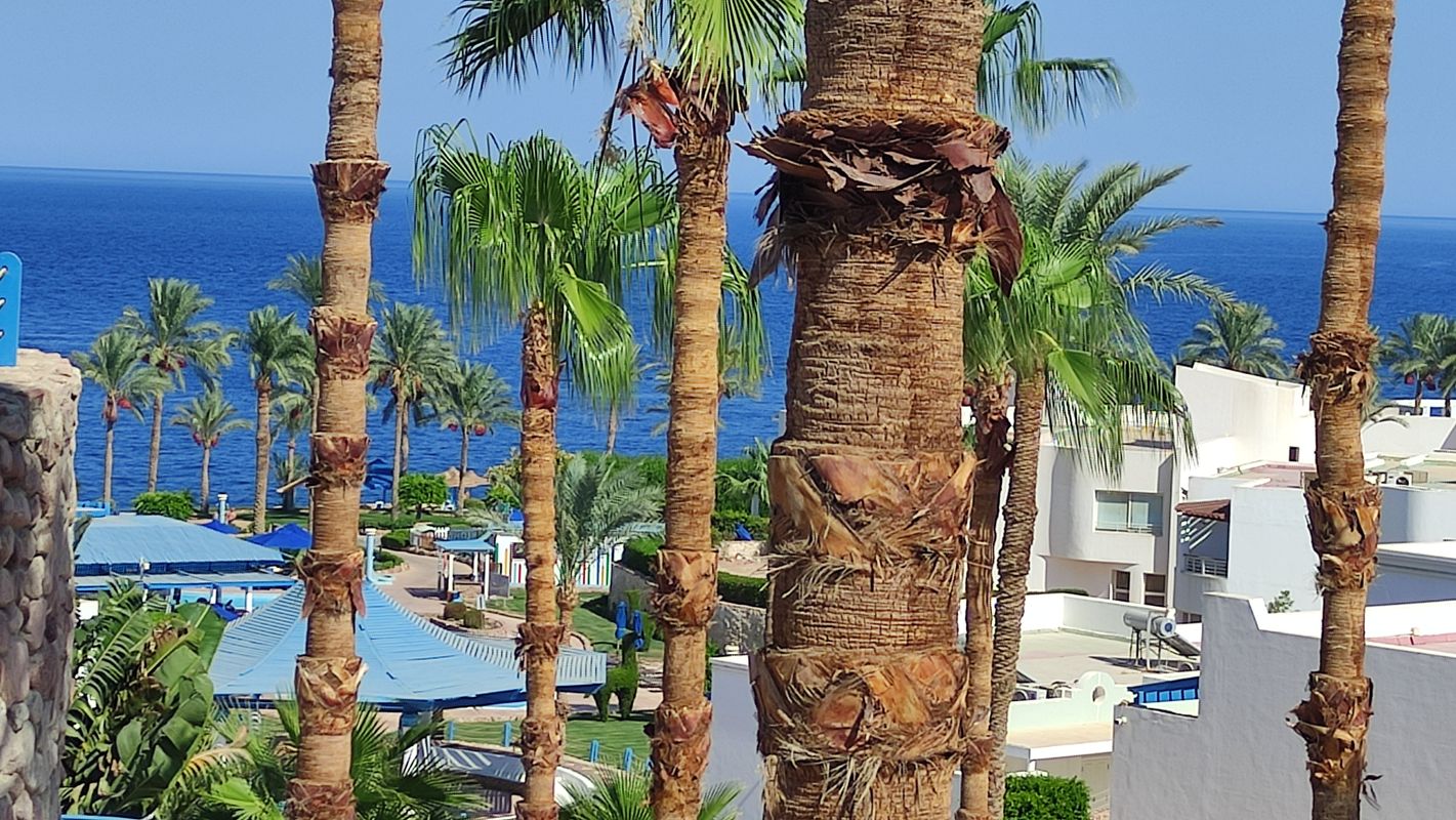 Renaissance Sharm El Sheikh Golden View Beach Resort фото 144