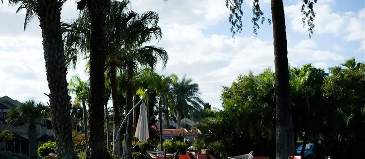 Фото отеля Palm Beach Hotel