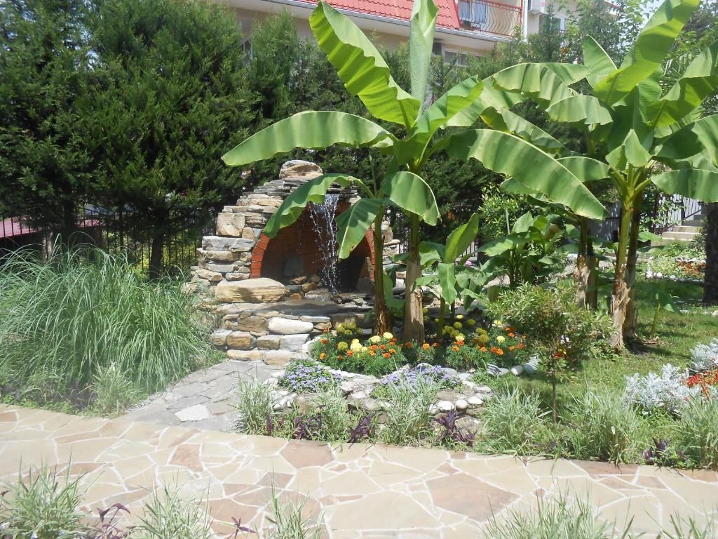 Виамонд фото 53