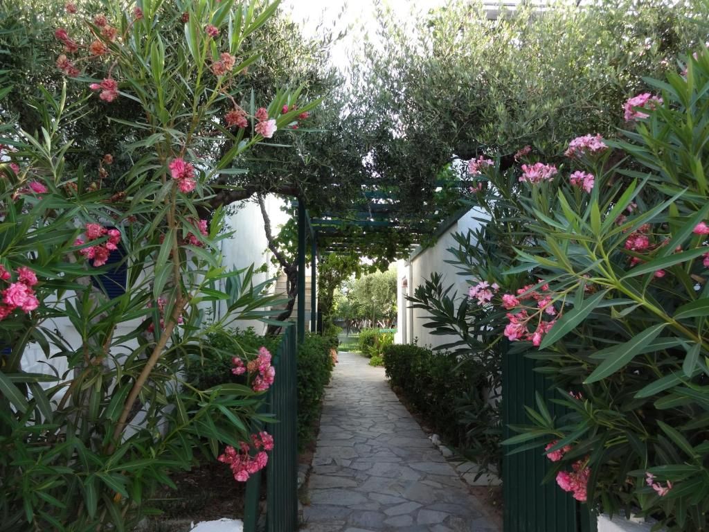 Villea Village фото 33