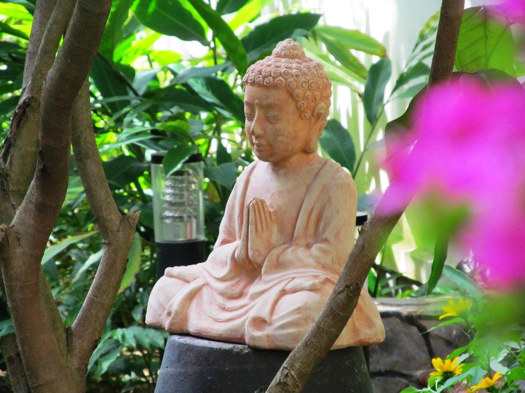 Le Jardin des Thes фото 40