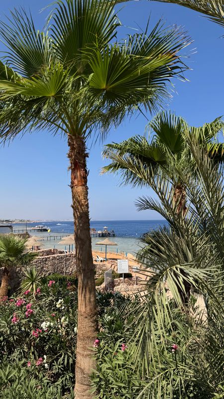 Renaissance Sharm El Sheikh Golden View Beach Resort фото 138