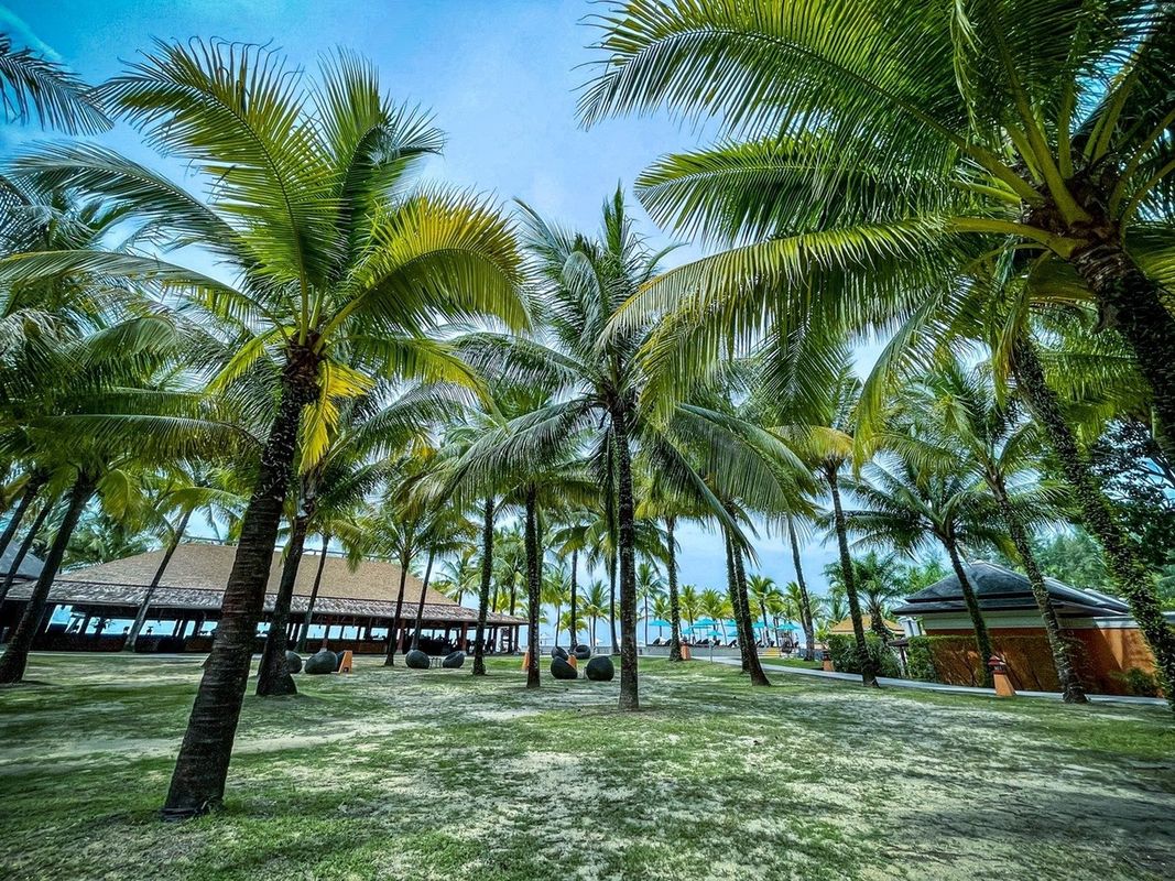 Beyond Resort Khaolak (Adults Only) фото 21