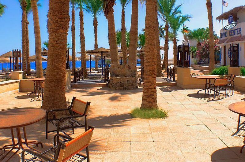 Al Mashrabiya Beach Resort фото 5