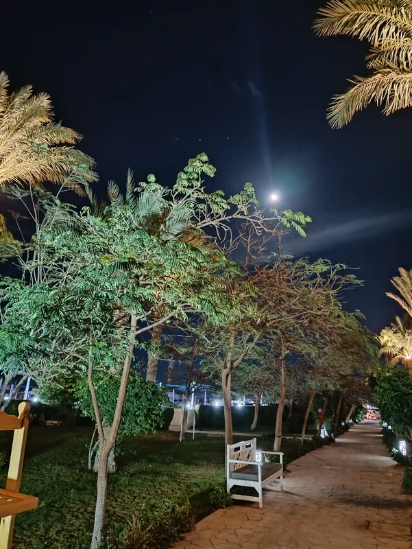 Aladdin Beach Resort фото 137