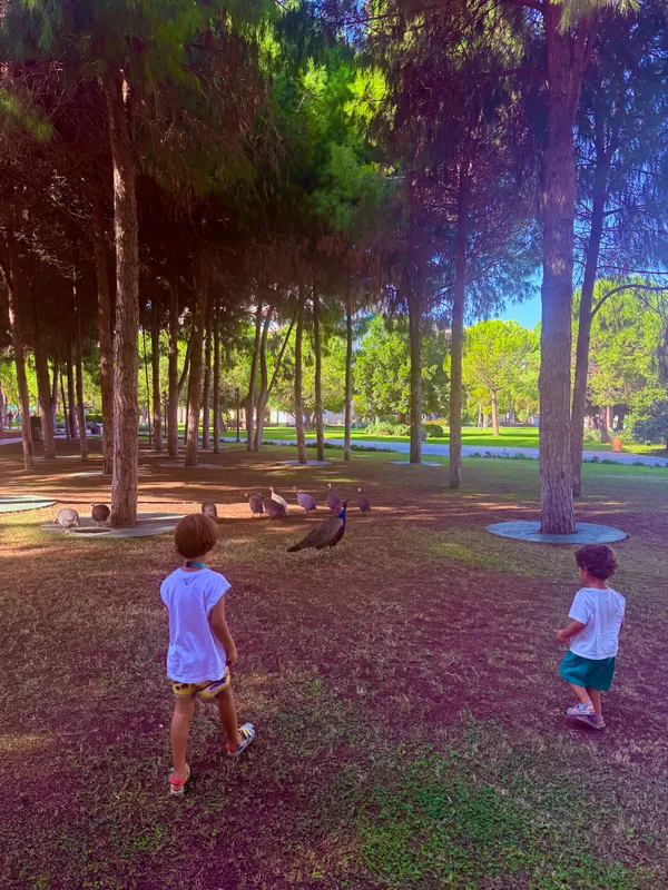 Regnum Carya фото 104