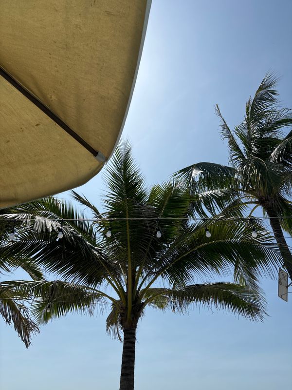 Dynasty Muine Beach Resort фото 70