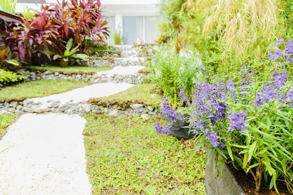 Ocean Suites Bohol Boutique Hotel фото 41