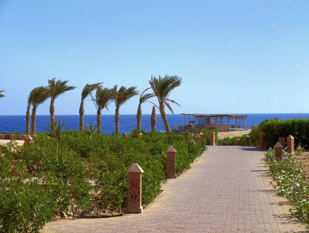 Viva Blue Resort & Diving Sharm El Naga (Adults Only) фото 83