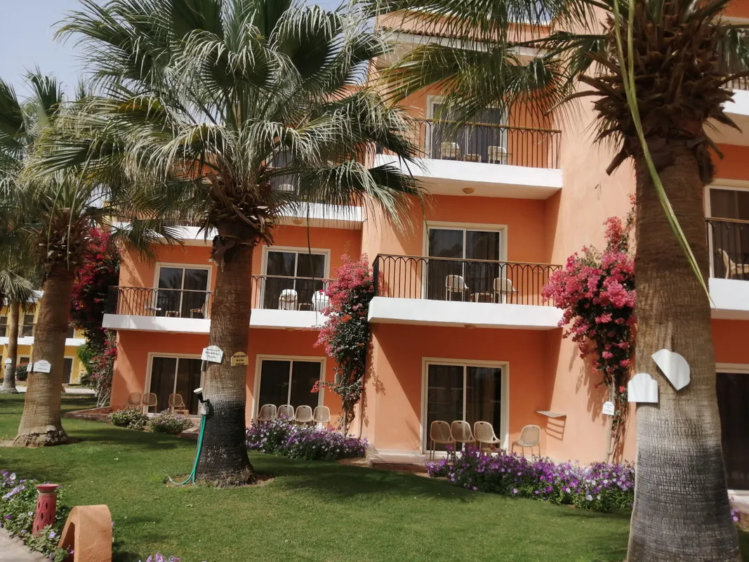 The Three Corners Sunny Beach Resort фото 24
