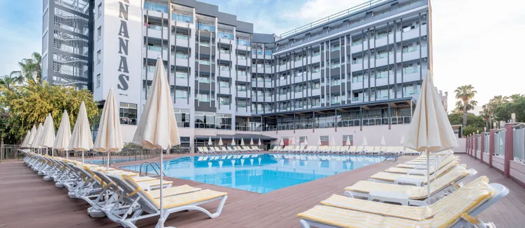 Фото отеля Ananas Hotel